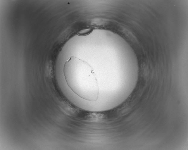 X0000071960328200607212259