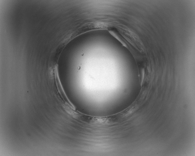 X0000071960329200607212259