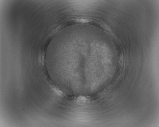 X0000071960330200607212259