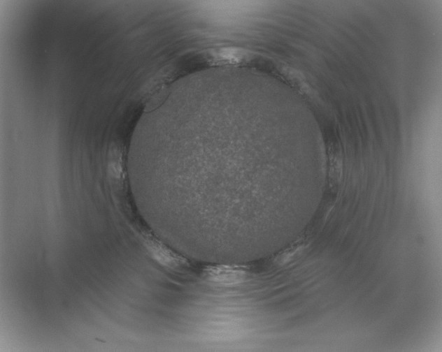 X0000071960331200607212259