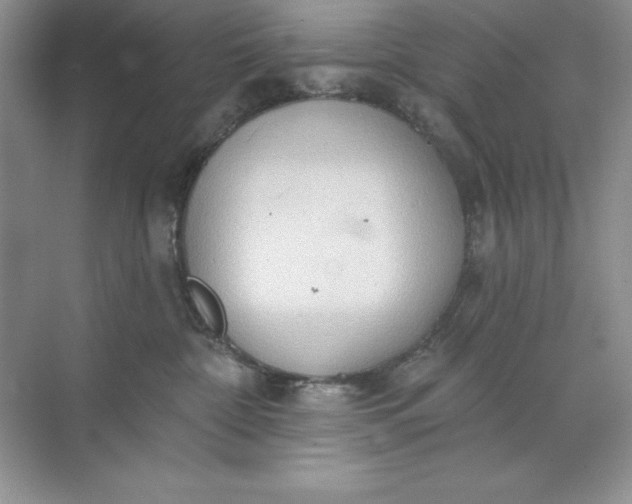 X0000071960332200607212259