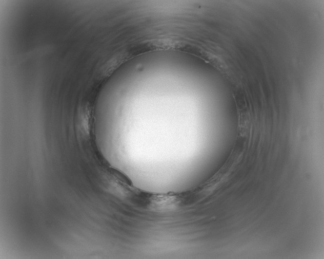 X0000071960334200607212259