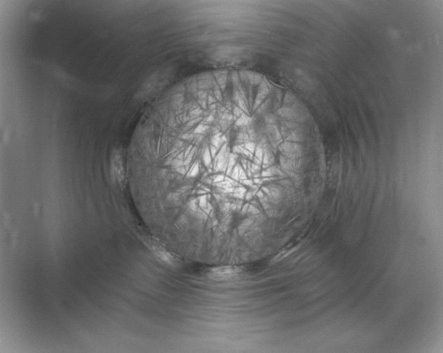 X0000071960335200607212259