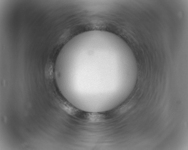 X0000071960336200607212259