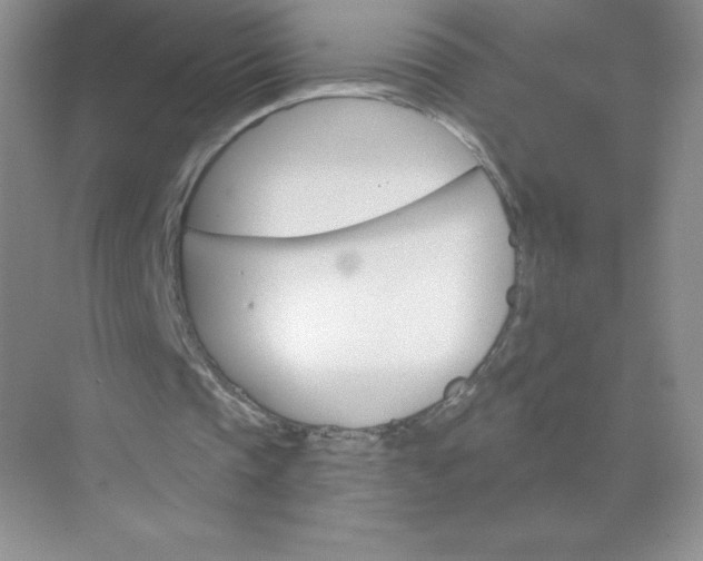 X0000071960337200607212258