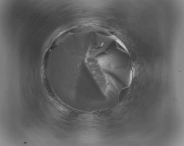 X0000071960339200607212258