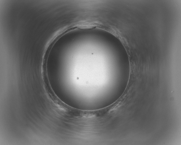 X0000071960340200607212258