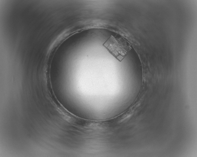 X0000071960341200607212258