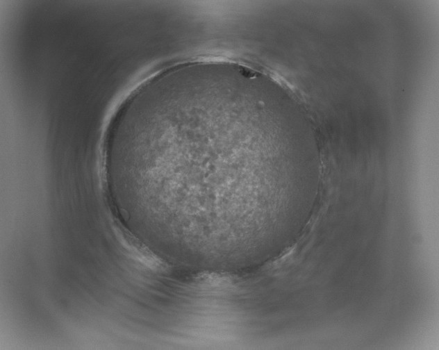 X0000071960343200607212258