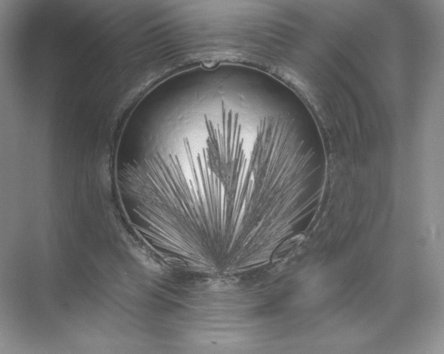 X0000071960345200607212258