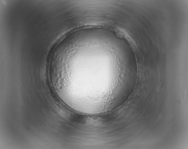 X0000071960346200607212258