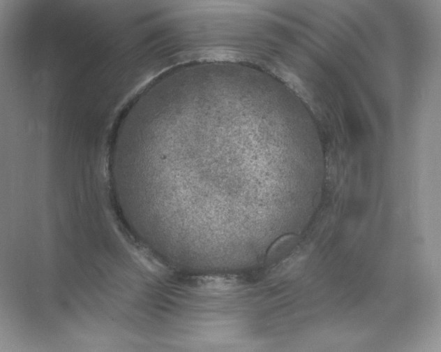 X0000071960347200607212258