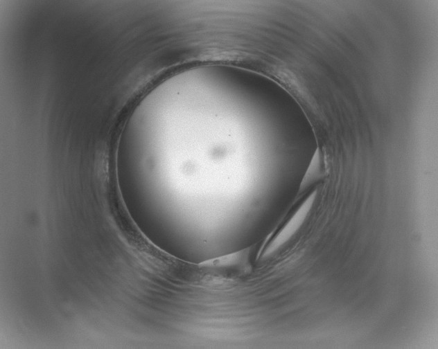 X0000071960348200607212258