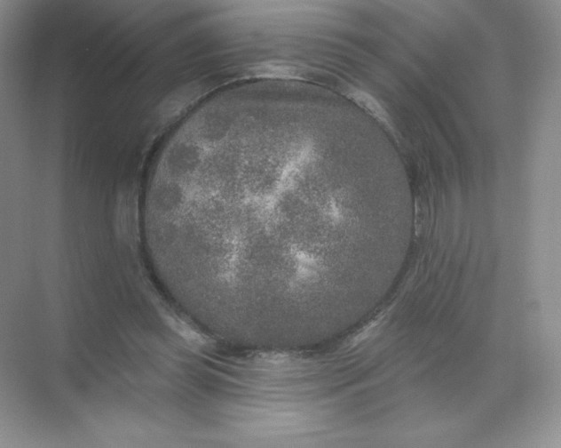 X0000071960349200607212258