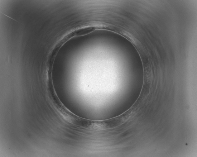 X0000071960350200607212258