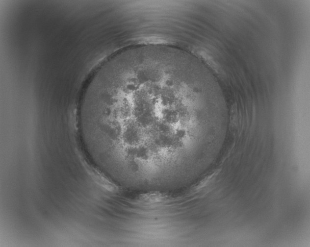 X0000071960351200607212258