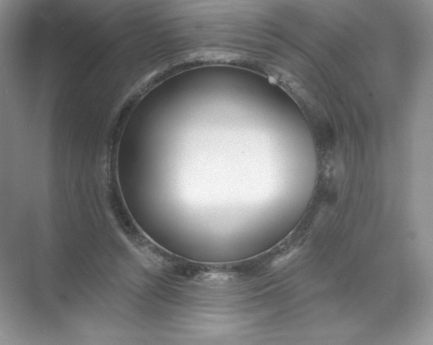 X0000071960352200607212258