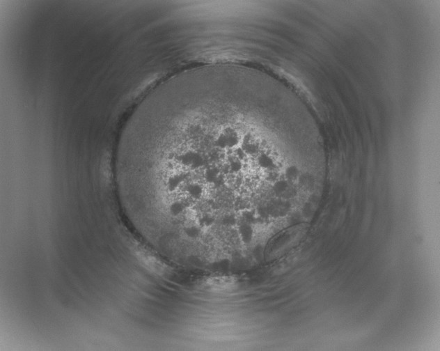 X0000071960353200607212258