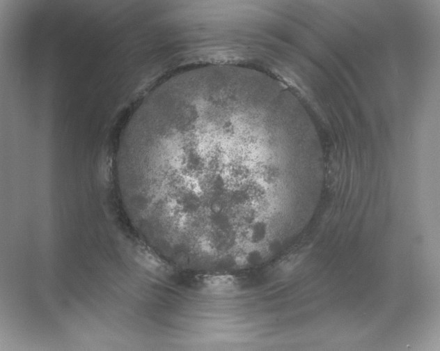 X0000071960355200607212258