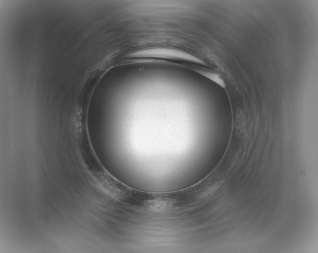 X0000071960356200607212258