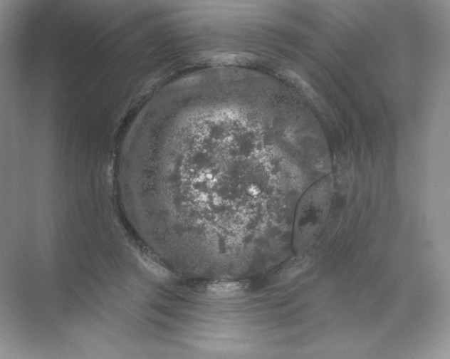 X0000071960357200607212258