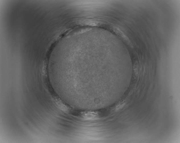 X0000071960359200607212258