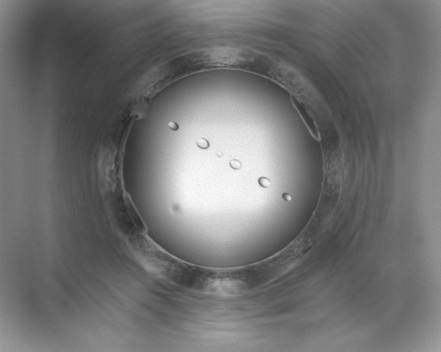 X0000071960360200607212258