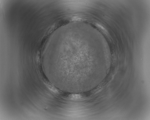 X0000071960361200607212258