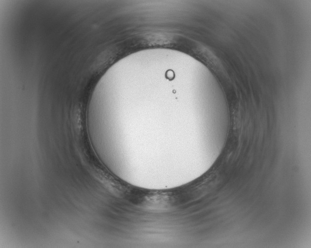 X0000071960362200607212258