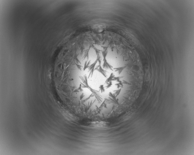 X0000071960363200607212258