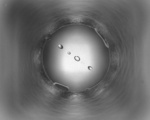 X0000071960364200607212258