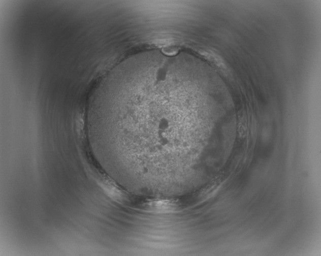 X0000071960365200607212258