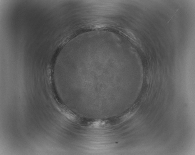 X0000071960366200607212258