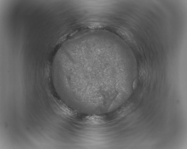 X0000071960367200607212258