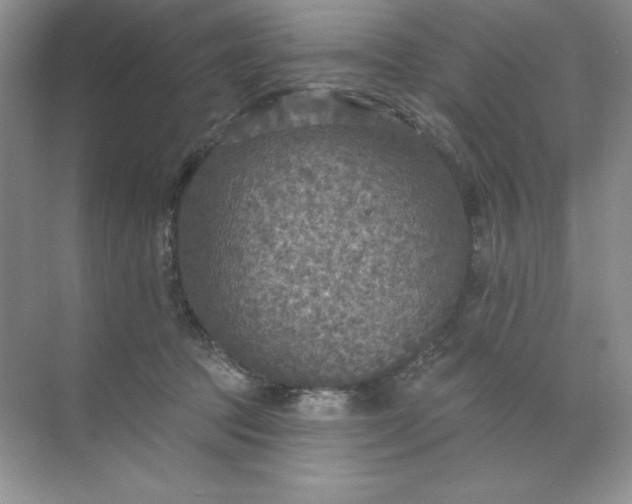 X0000071960369200607212258