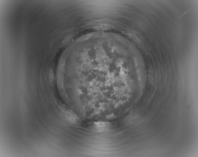 X0000071960371200607212258