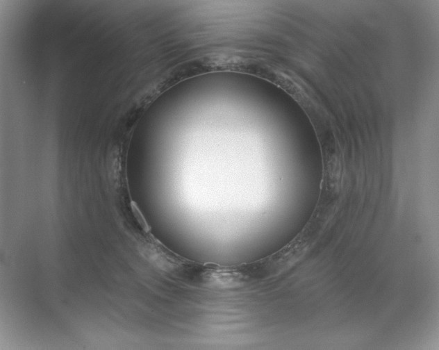 X0000071960372200607212258