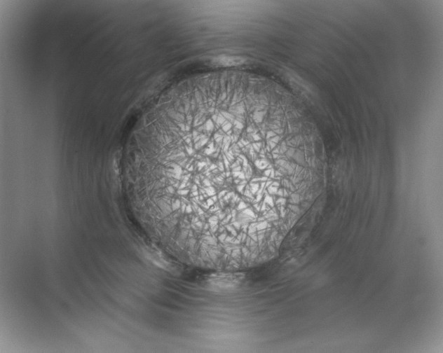 X0000071960373200607212258