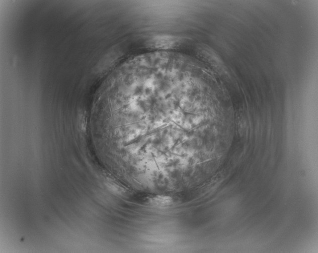 X0000071960374200607212258