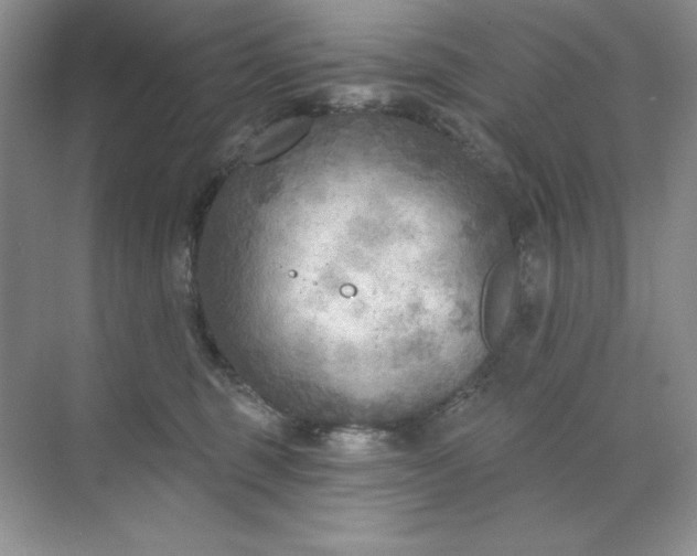 X0000071960375200607212258