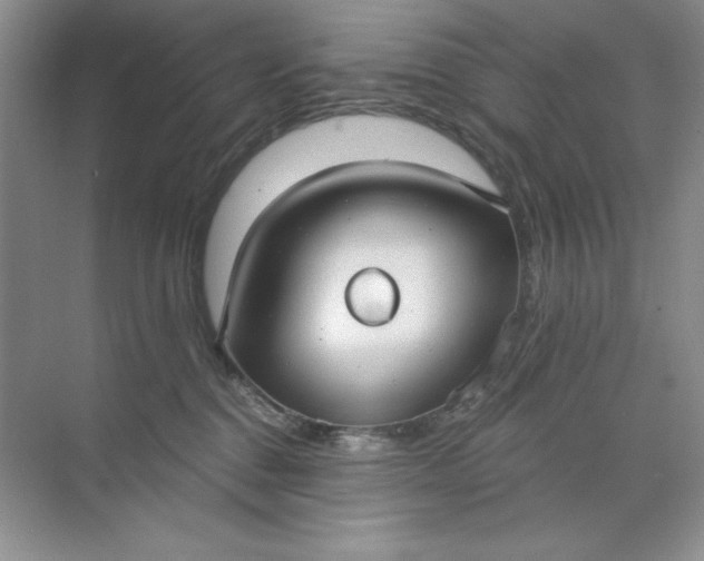 X0000071960376200607212258