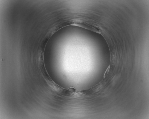 X0000071960379200607212258