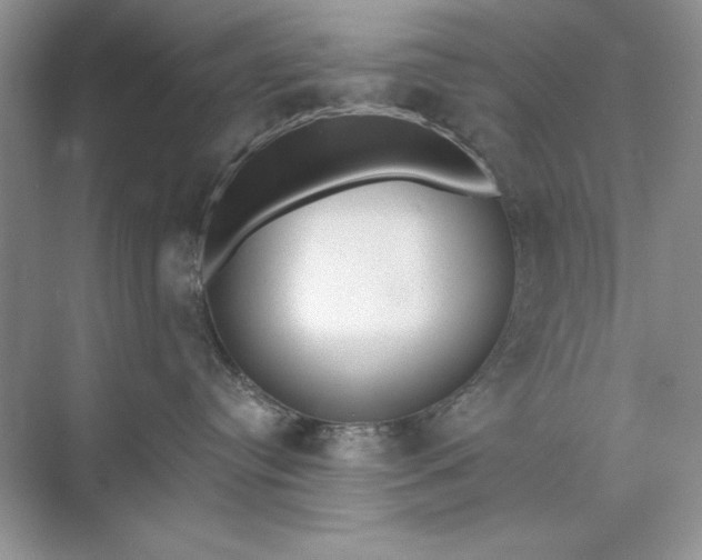 X0000071960384200607212259