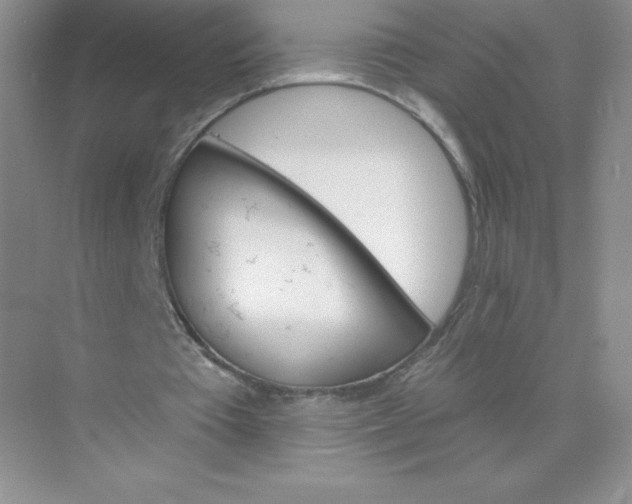 X0000071960385200607212258