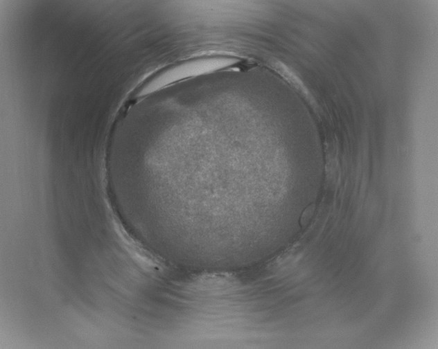 X0000071960386200607212258