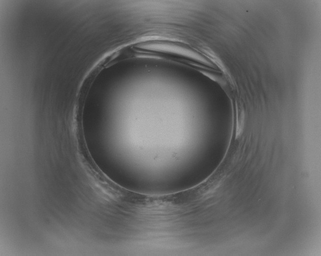 X0000071960387200607212258