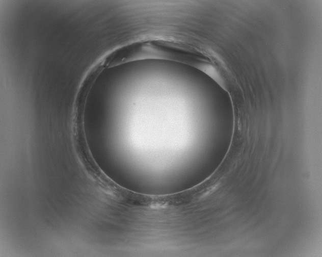 X0000071960388200607212258