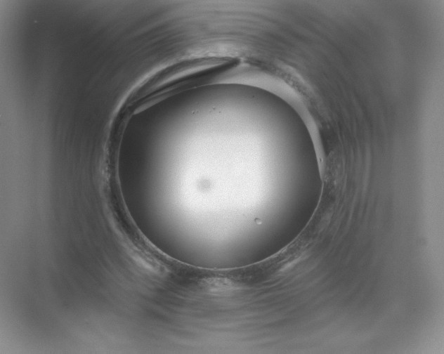 X0000071960392200607212258