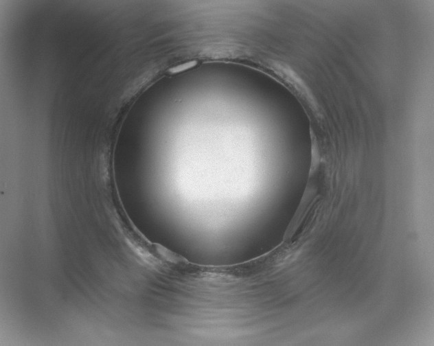 X0000071960393200607212258