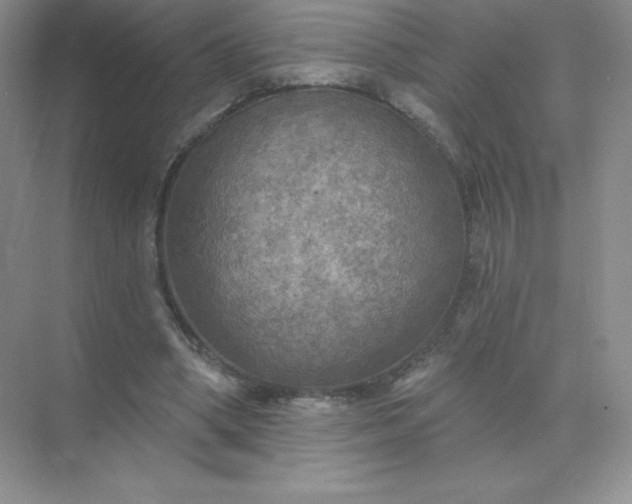 X0000071960394200607212258